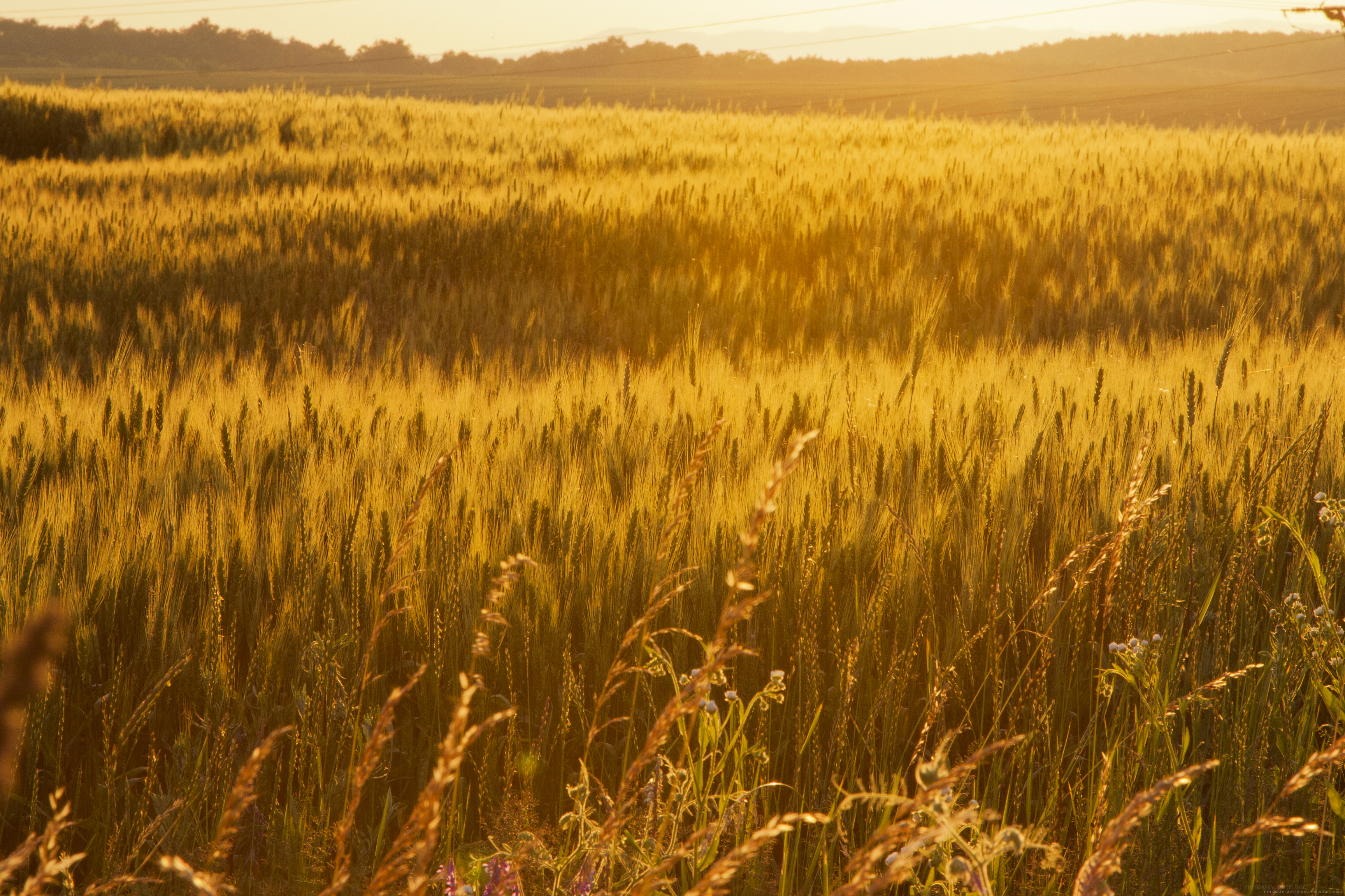 Sunset at Grain