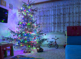 Christmas Tree 2013