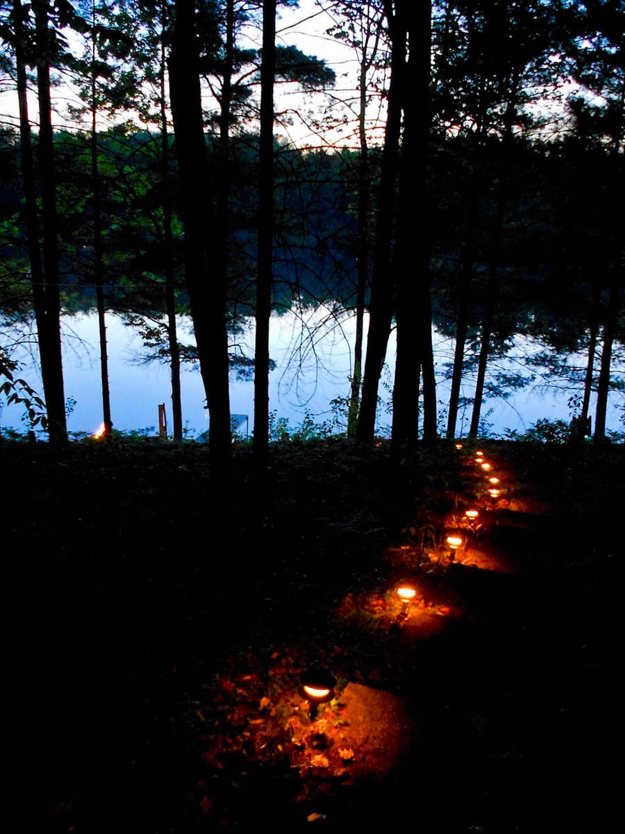 Lights down to the Lake