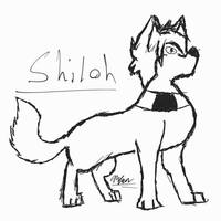 Shiloh's Stance