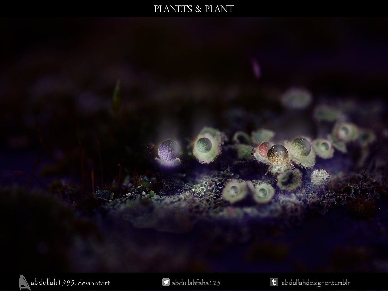 Planets and Plant (Sharpen)