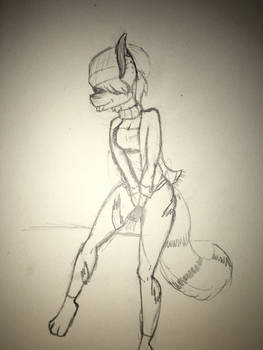 Another random furry art image of one of my OC's.