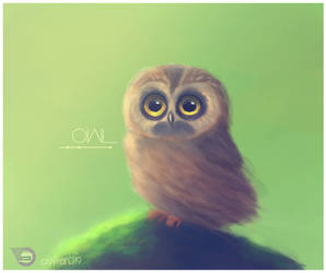 owl