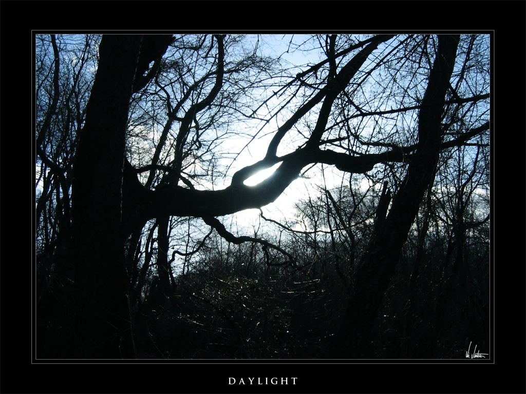 Daylight