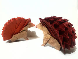 Origami Hedgehogs