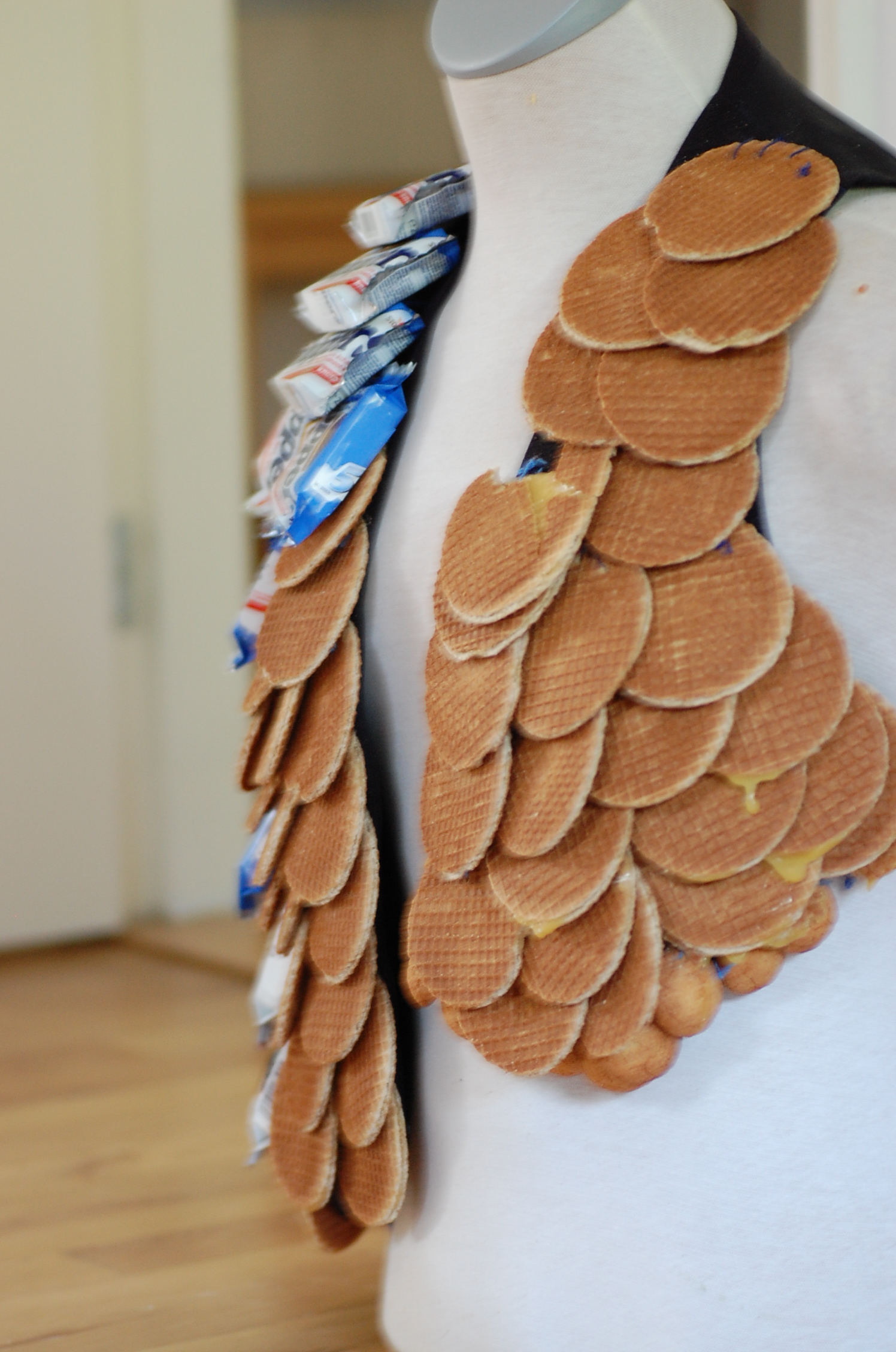 Cookie Waistcoat: A Other View