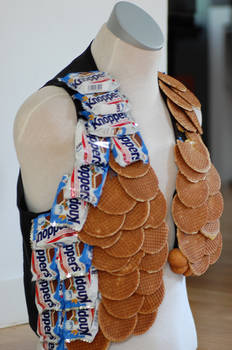 Cookie Waistcoat: A Other View