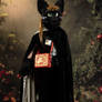 The Dark Sorceress