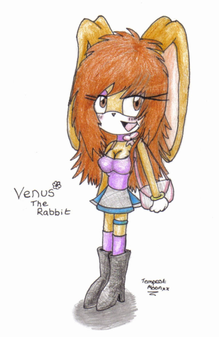 Venus the Rabbit by TempestMoonXx on DeviantArt