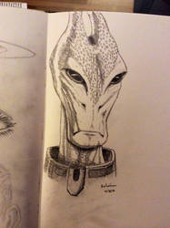 Daily Sketch - Salarian