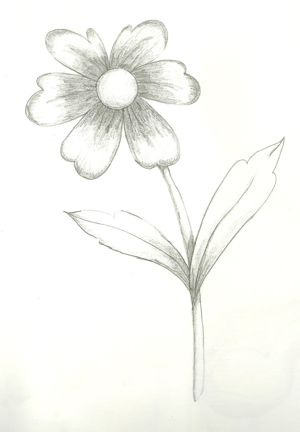 Flor A Lapiz by Lunakiva on DeviantArt Flor A Lapiz by Lunakiva on DeviantArt