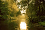River by Janine-Autumn