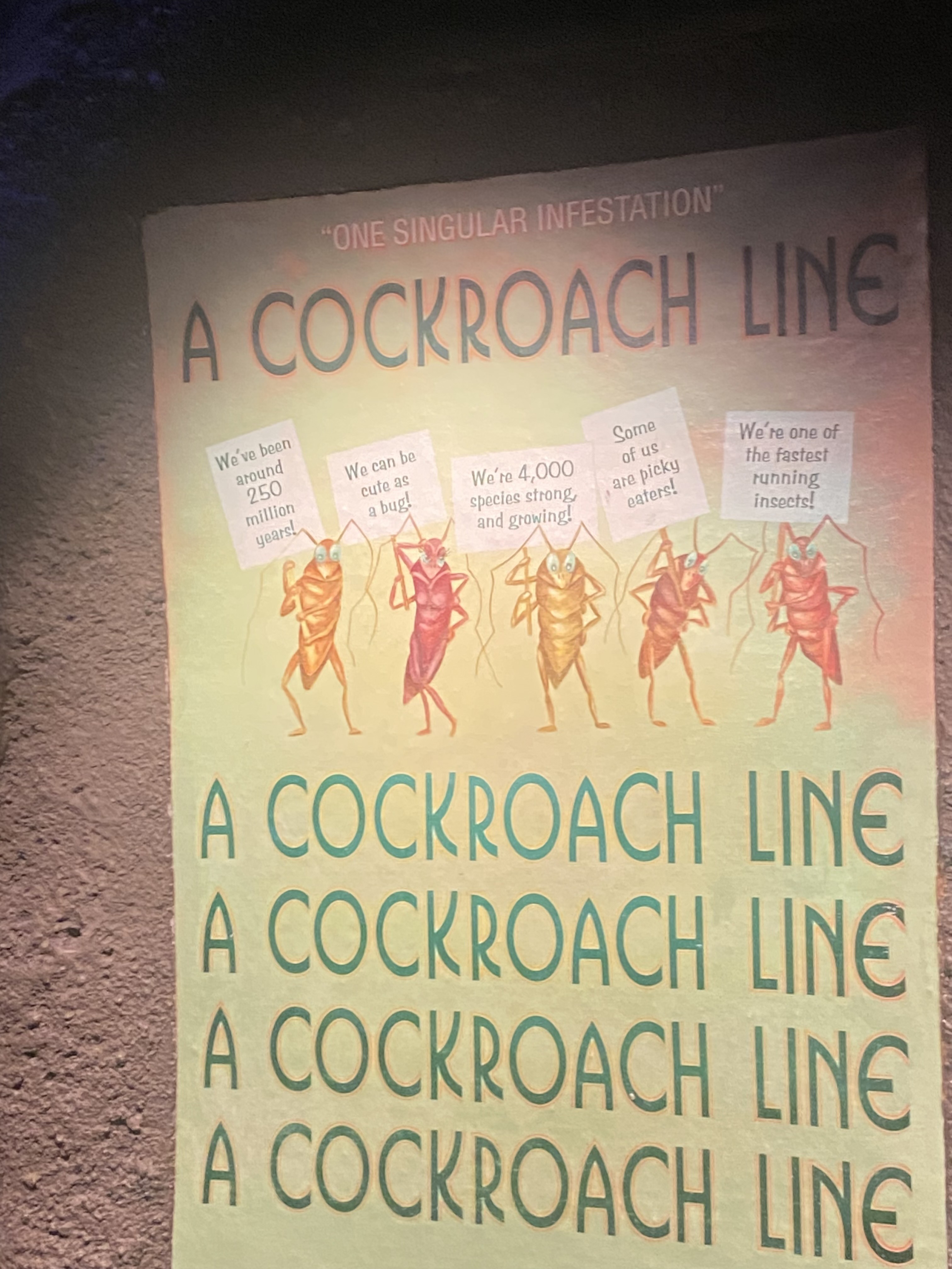 Cockroach Rizz Lines A Cockroach Line by JessieSchutter on DeviantArt