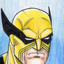 Wolverine Sketch Card 1