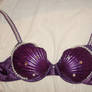 Ariel Seashell bra