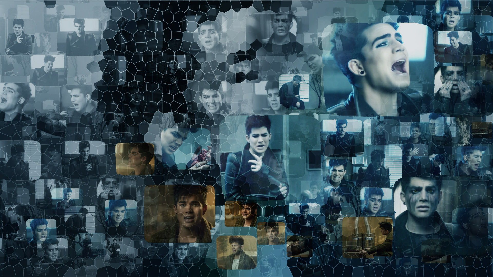 Adam Lambert Wallpaper