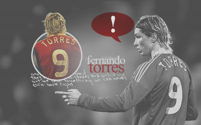 Fernando Torres 12