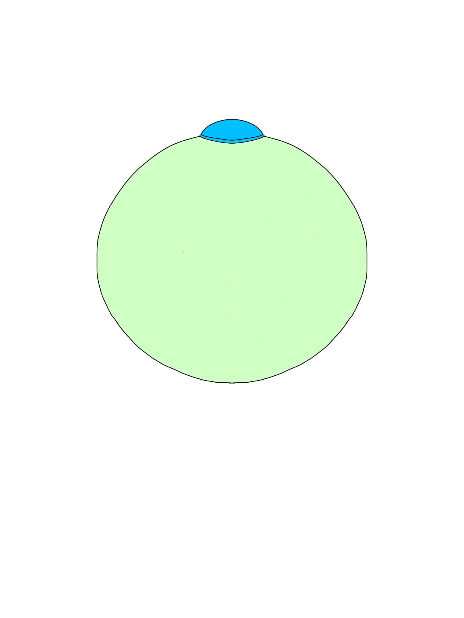 Green Oran Berry by GemYin on DeviantArt