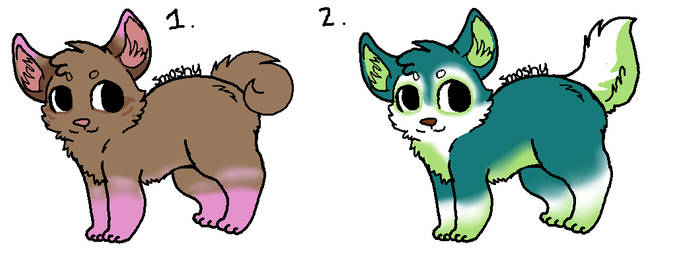 puppy adoptables