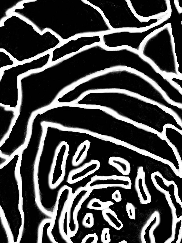 Inverted Rose Pattern Inverted Rose Design by jebest on DeviantArt