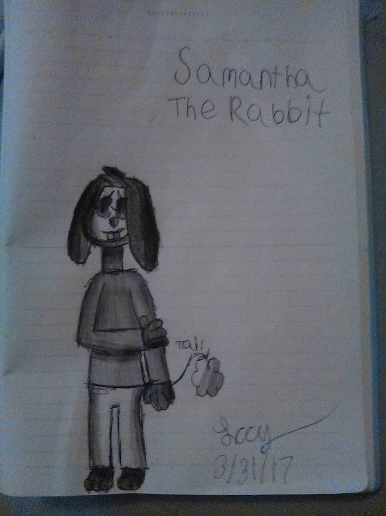 Samantha The Rabbit by 21GottaGoFast on DeviantArt
