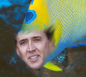 Fisholas Cage