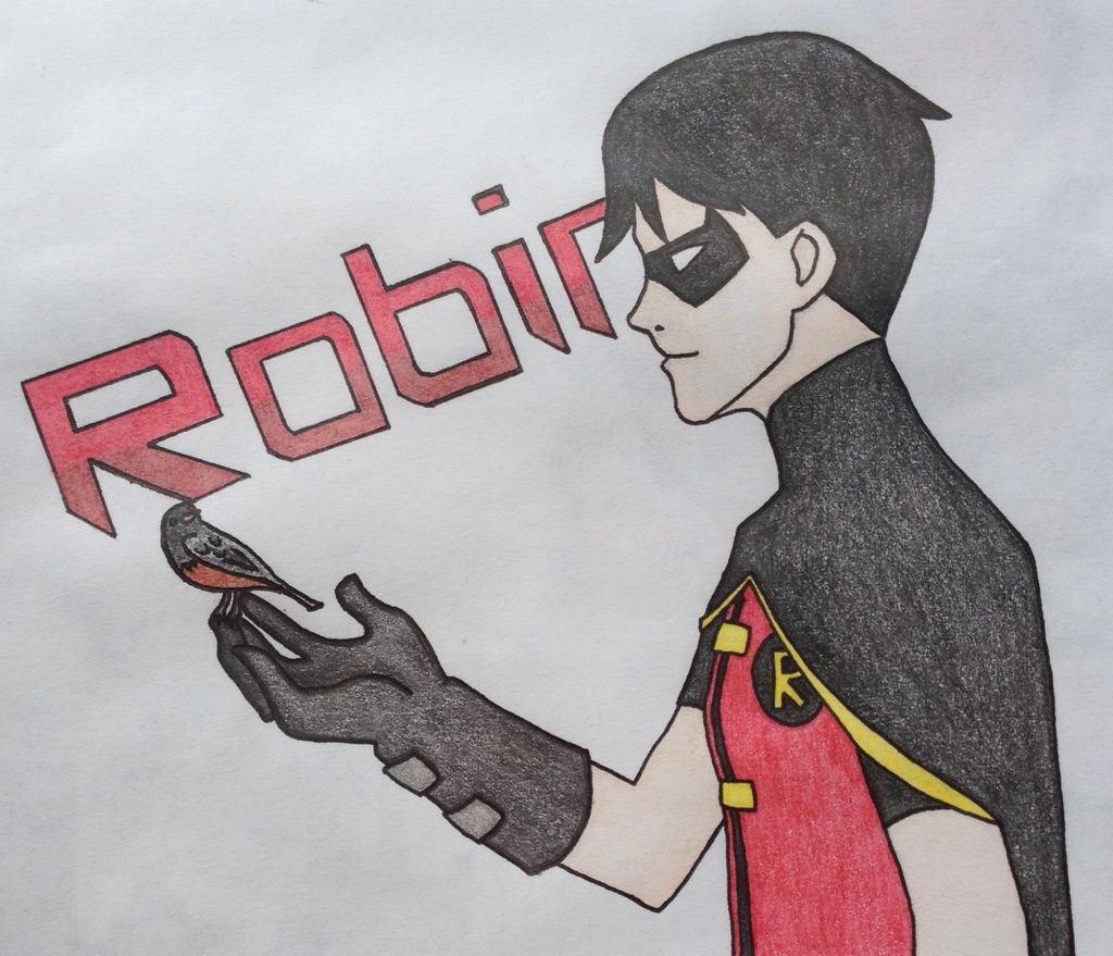 Young Justice- Robin