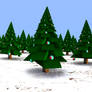 advent Calendar Day 21 : field of christmas tree