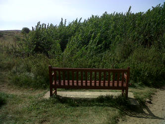 Bench With No View