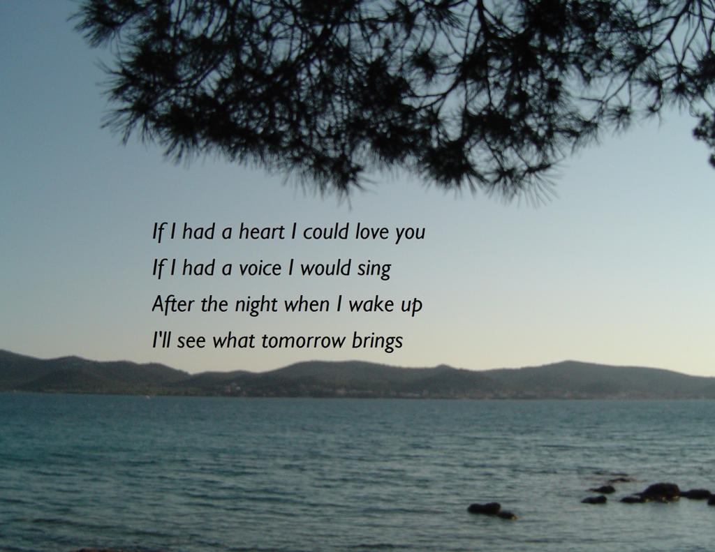 If I Had A Heart I Could Love You by raer on DeviantArt
