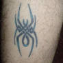 Celtic Spider