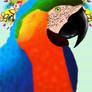 Macaw colored version