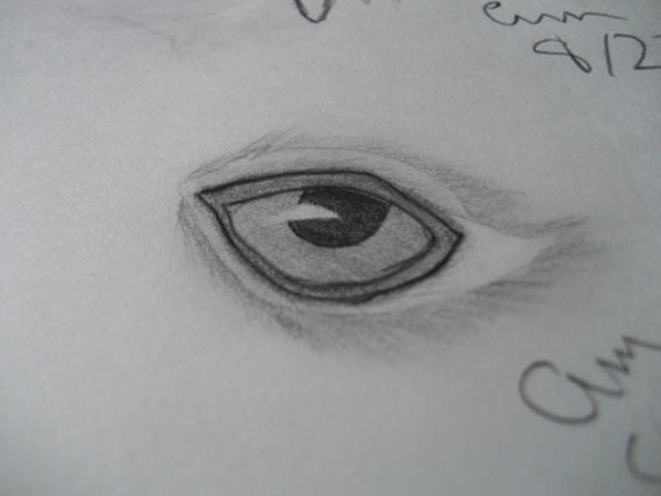 Rabbit Eye by ShadowHeartbeat on DeviantArt