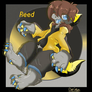 Reed Draggy