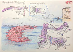 Worldbuilding Project: Fauna, Hamakeke
