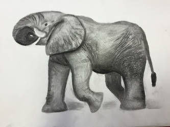 Elephant (please critique)