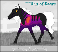 Seeking everlasting joy