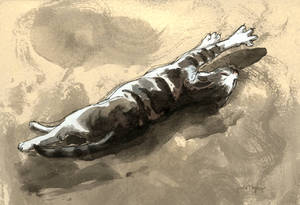 Cat stretching, sketch