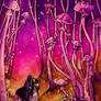 Mushroom forest