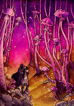 Mushroom forest