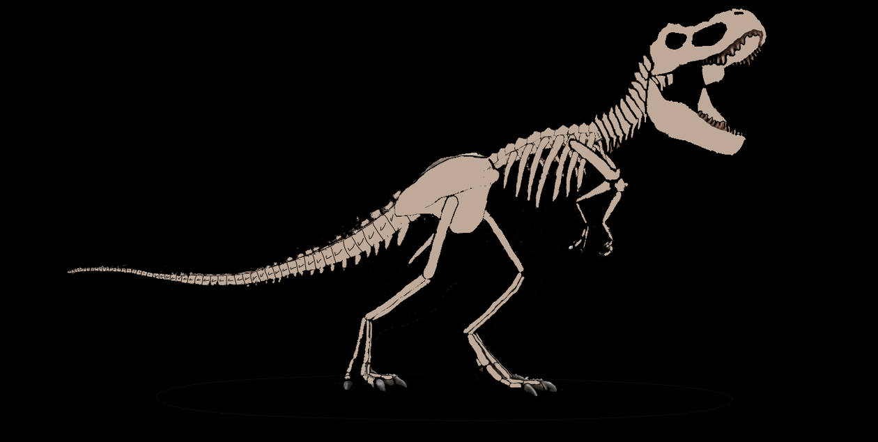 Rexy skeleton from Jurassic World by GoldenBoiiTheArtist on DeviantArt