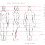 Male Proportion Study