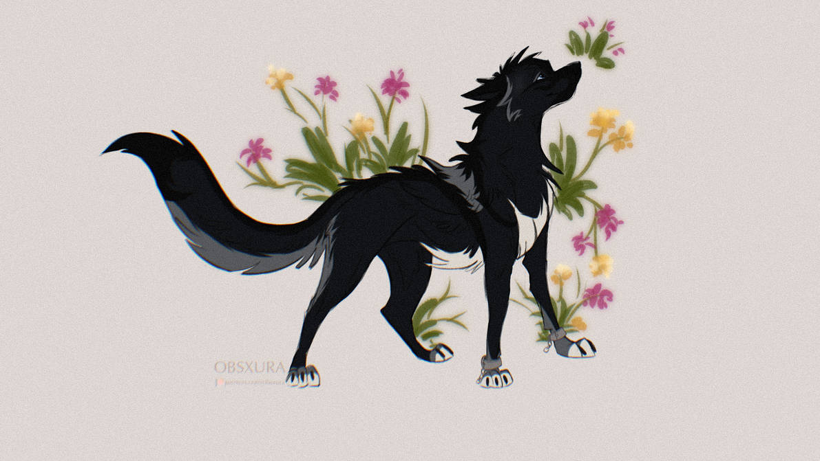 Ranga Sketch by Obsxura on DeviantArt