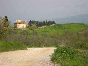 Tuscan Landscape