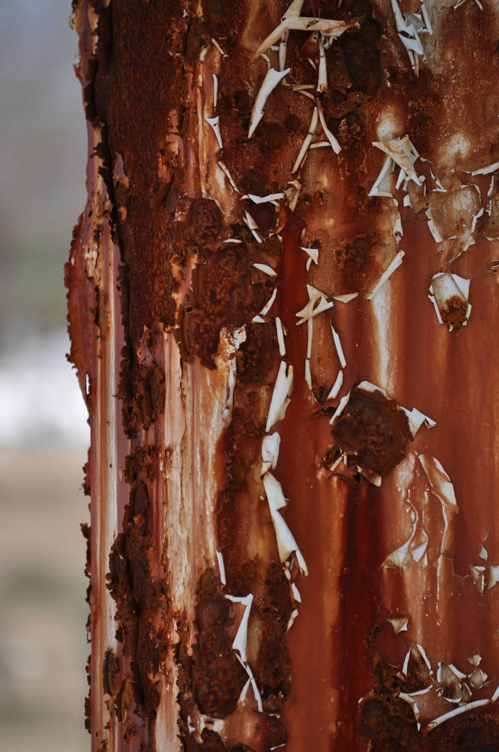 vivid rustation by mr-insane69 on DeviantArt