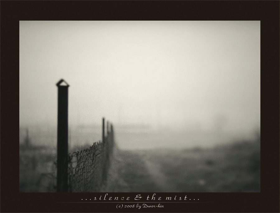 silence and the mist