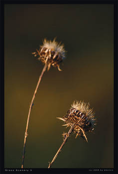 Grass Scenery 3