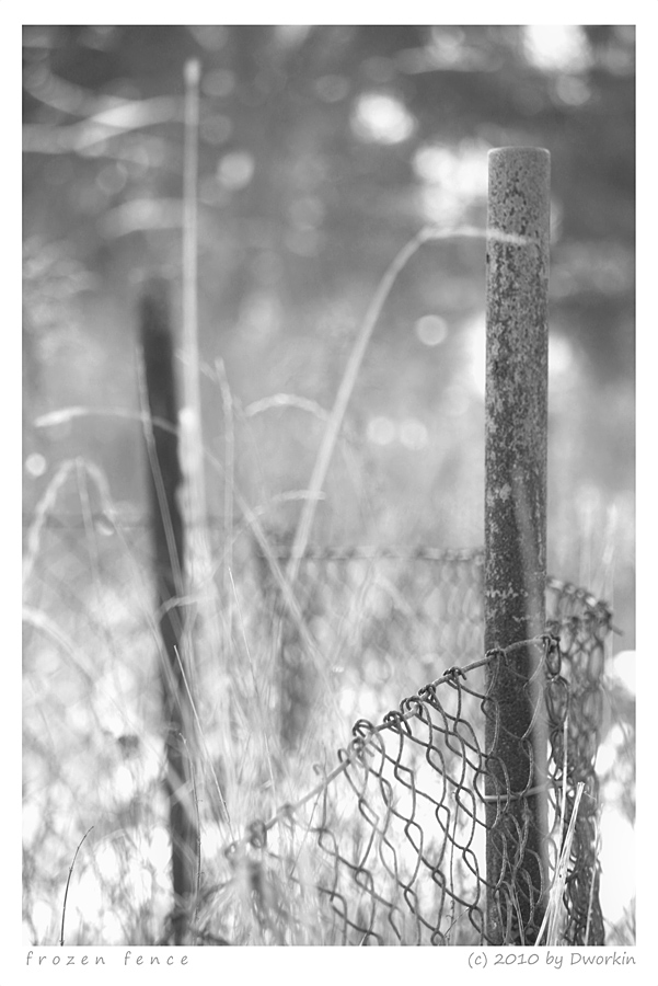 Frozen Fence