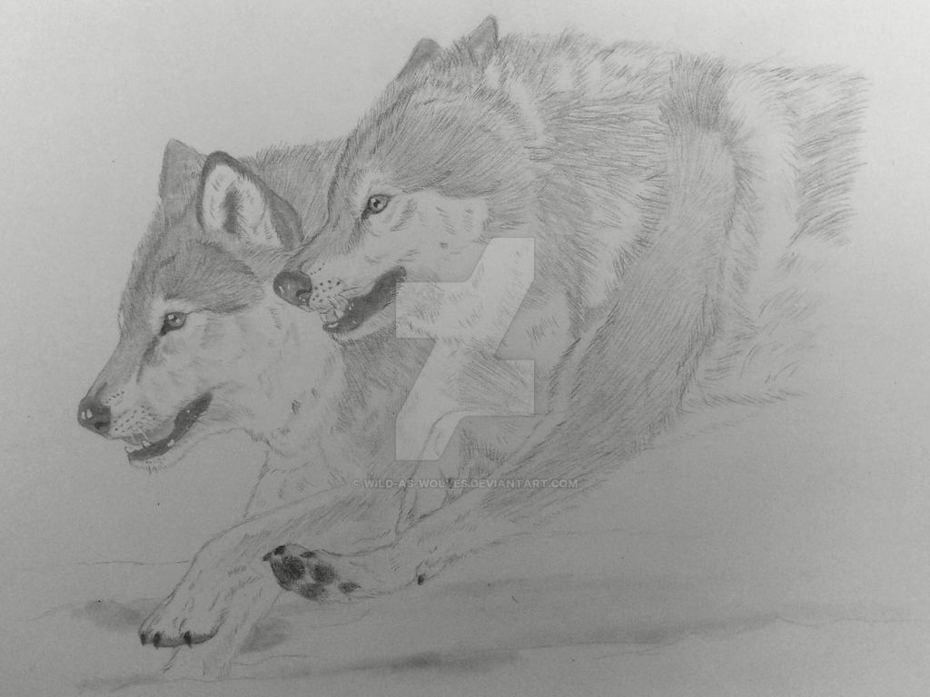 Wolves by Wild-As-Wolves on DeviantArt