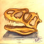 Allosaur skull study